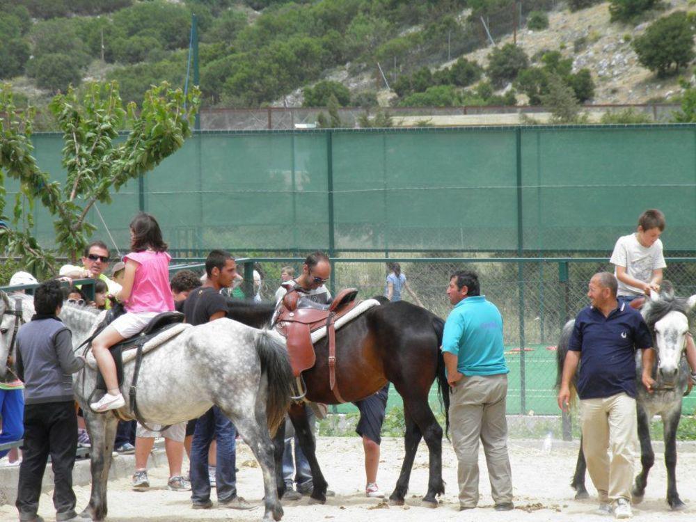 Lefkoritis Resort Askifou Sfakia Petrés エクステリア 写真